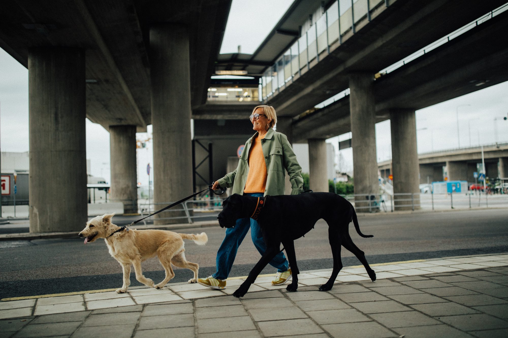 A woman walking two large dogs under a concrete overpass