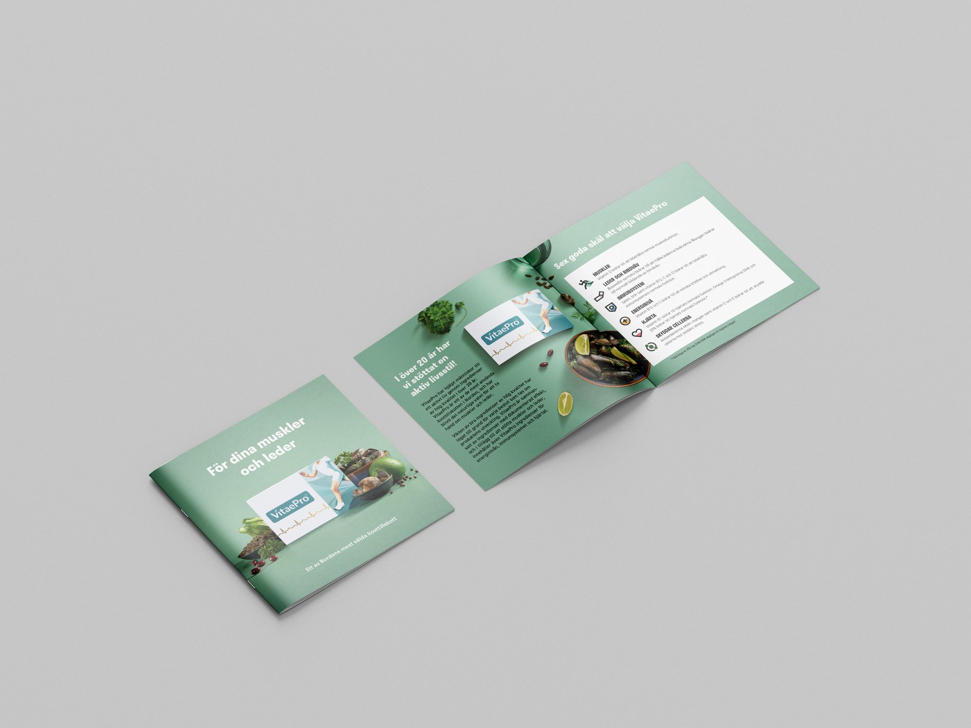 Square VitaePro brochure, cover and an open spread in sea green